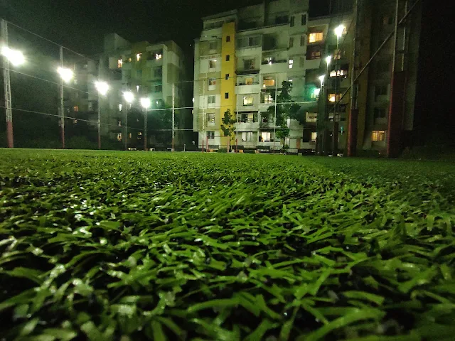 Turf photo 2