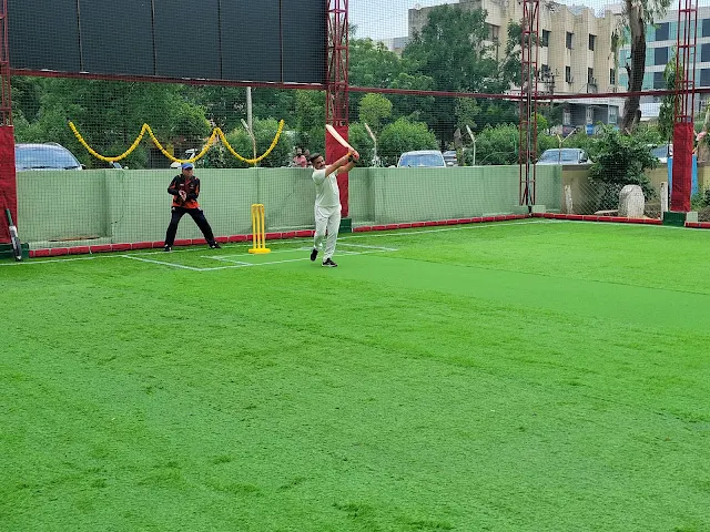 Turf photo 2