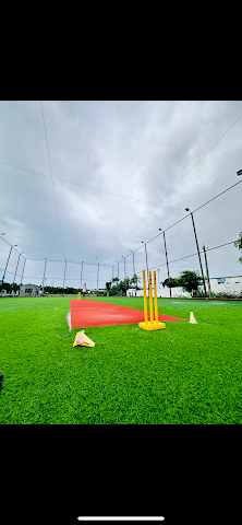 Dwarkadhish cricket box