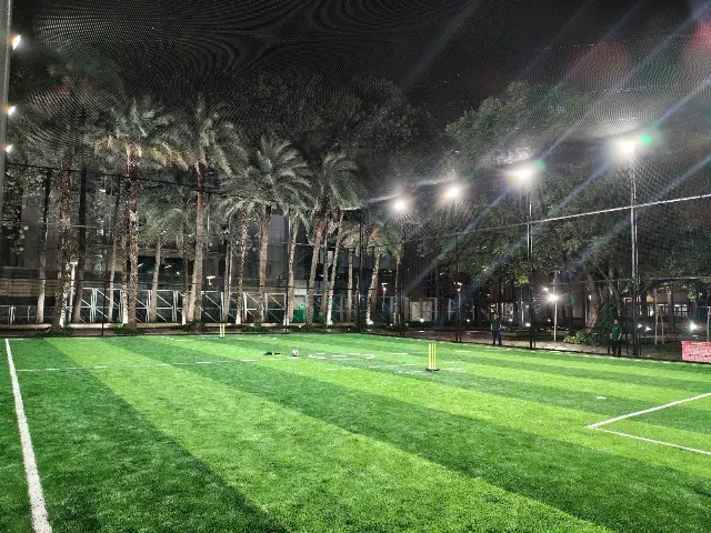 Turf photo 3