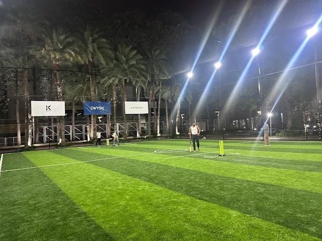 Turf photo 2