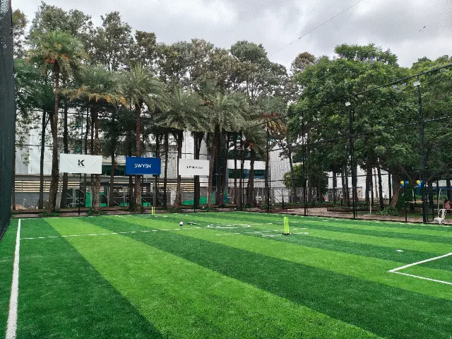 Turf main photo