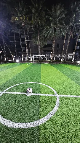 Turf photo 4