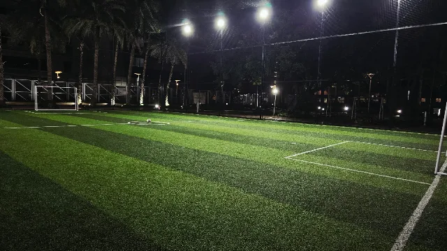 Turf photo 5