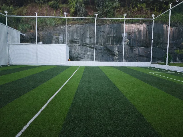 Turf photo 4