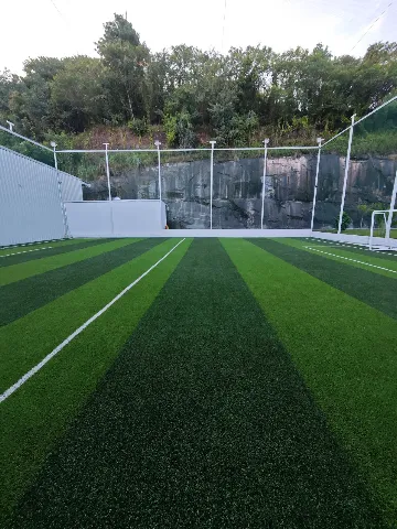 Turf photo 5