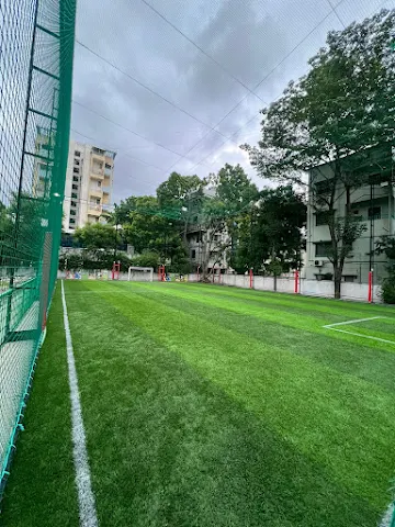 Turf photo 3