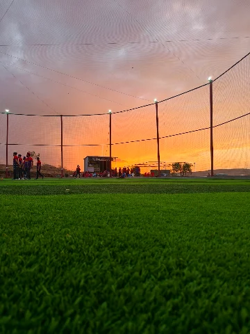 Turf photo 5