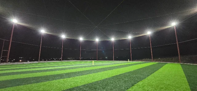 Turf photo 8