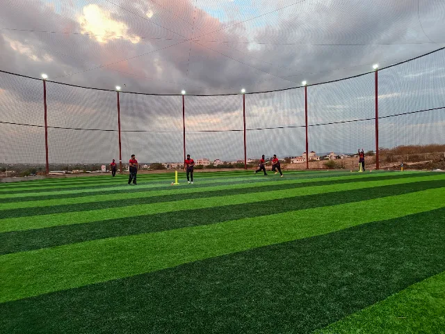Turf photo 2