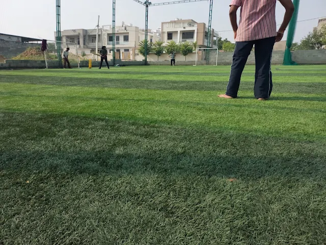 Turf photo 6