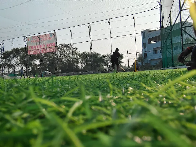 Turf main photo