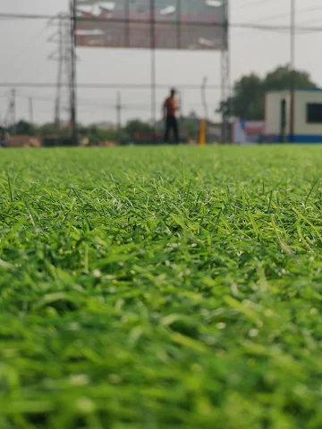 Turf photo 3