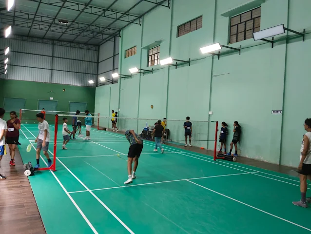 Turf photo 2