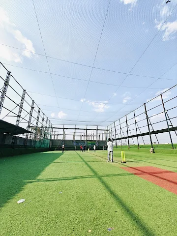 Turf photo 2