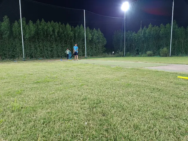 Turf photo 2