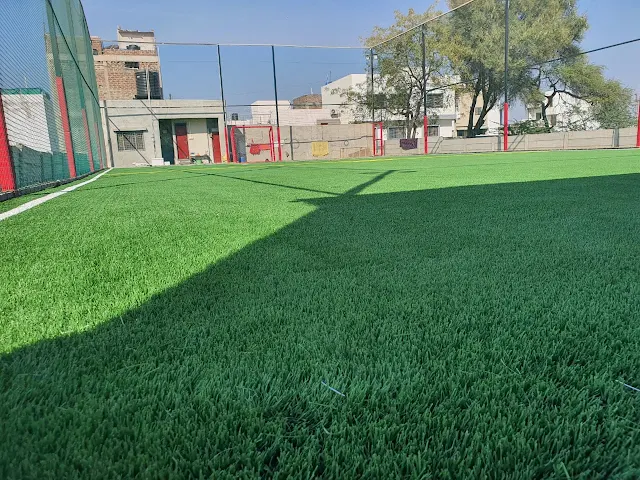 Turf photo 2