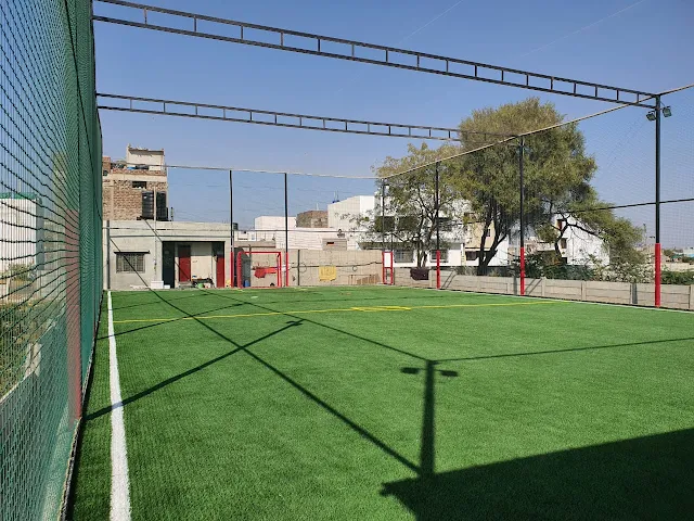Turf photo 3