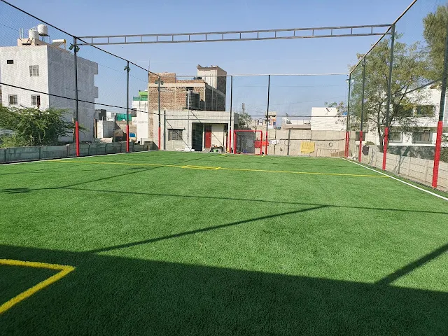 Turf photo 4