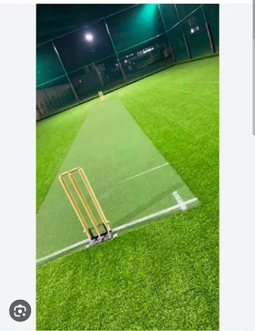 Turf photo 3