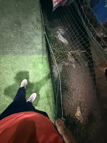 Turf photo 3
