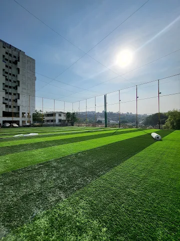 Turf photo 2