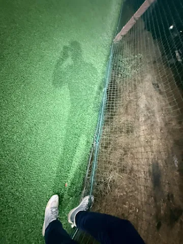Turf photo 6
