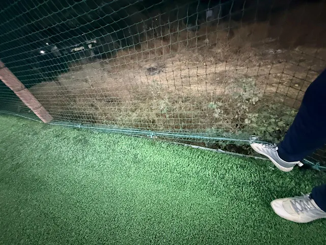 Turf main photo