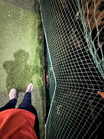 Turf photo 7