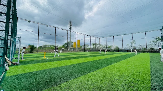 Sportsage Turf
