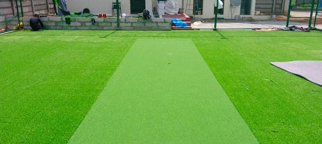 Turf photo 2