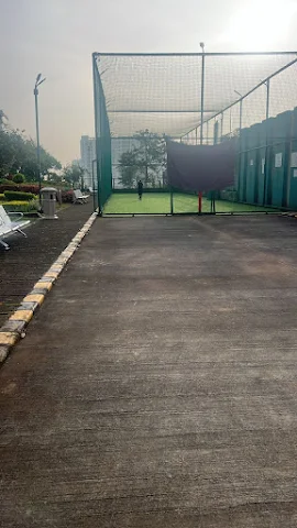 Turf photo 5