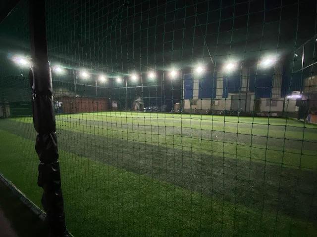 Turf photo 2