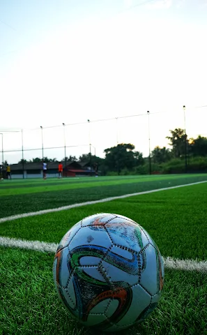 Turf photo 3