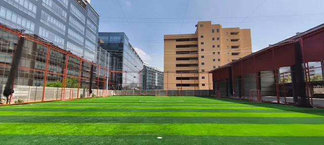 Turf photo 2