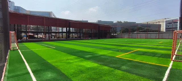 Turf photo 4