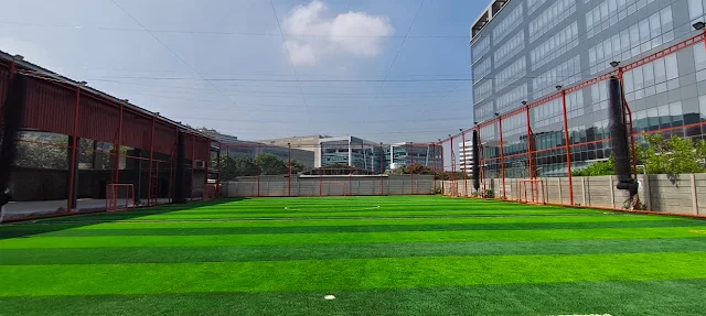 Turf photo 5