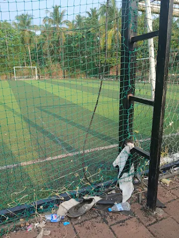 Turf photo 5