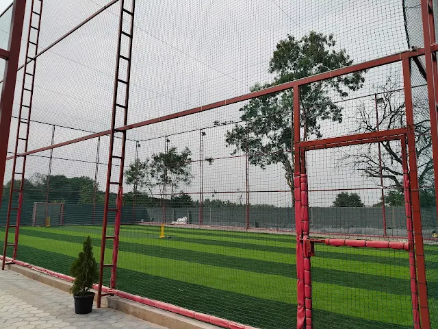 Play N Thrive Sports Arena