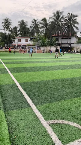 Turf photo 2