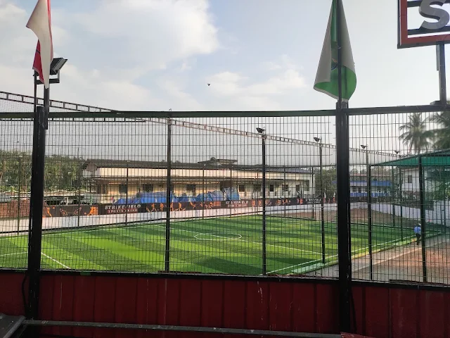 Turf photo 6