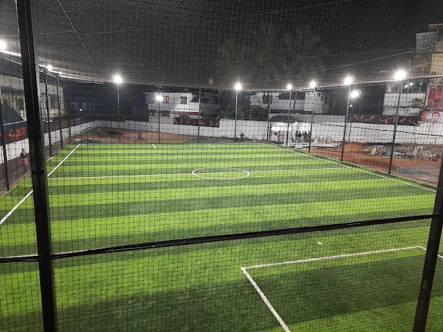Turf photo 4