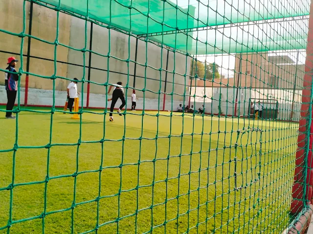 Turf photo 6
