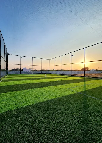 Turf photo 2