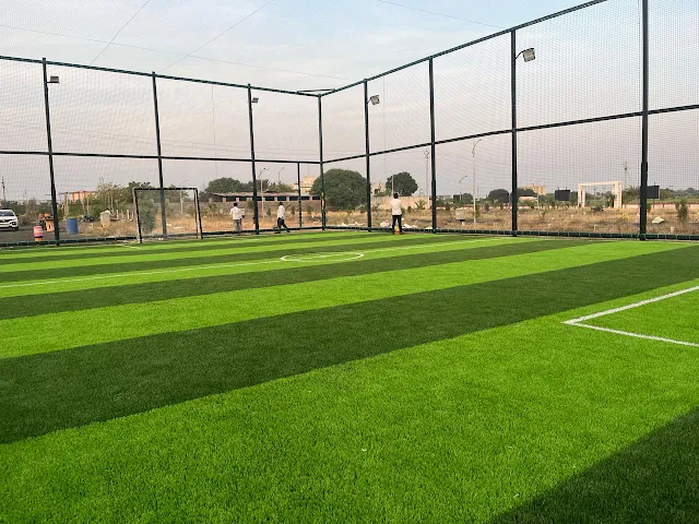 Turf photo 5