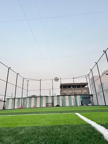 Turf photo 2