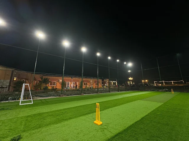 Turf main photo