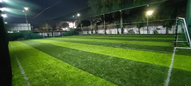 Turf photo 3