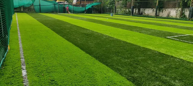 Turf photo 2