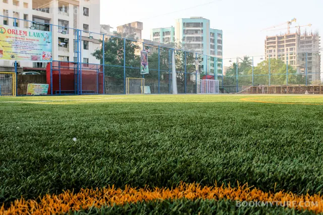 Turf photo 3